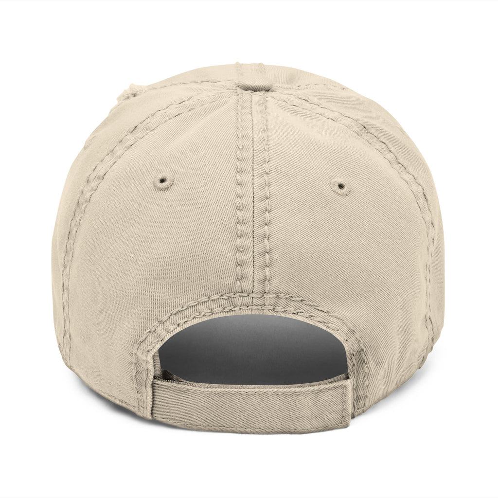 Above Snakes Embroidered Hat