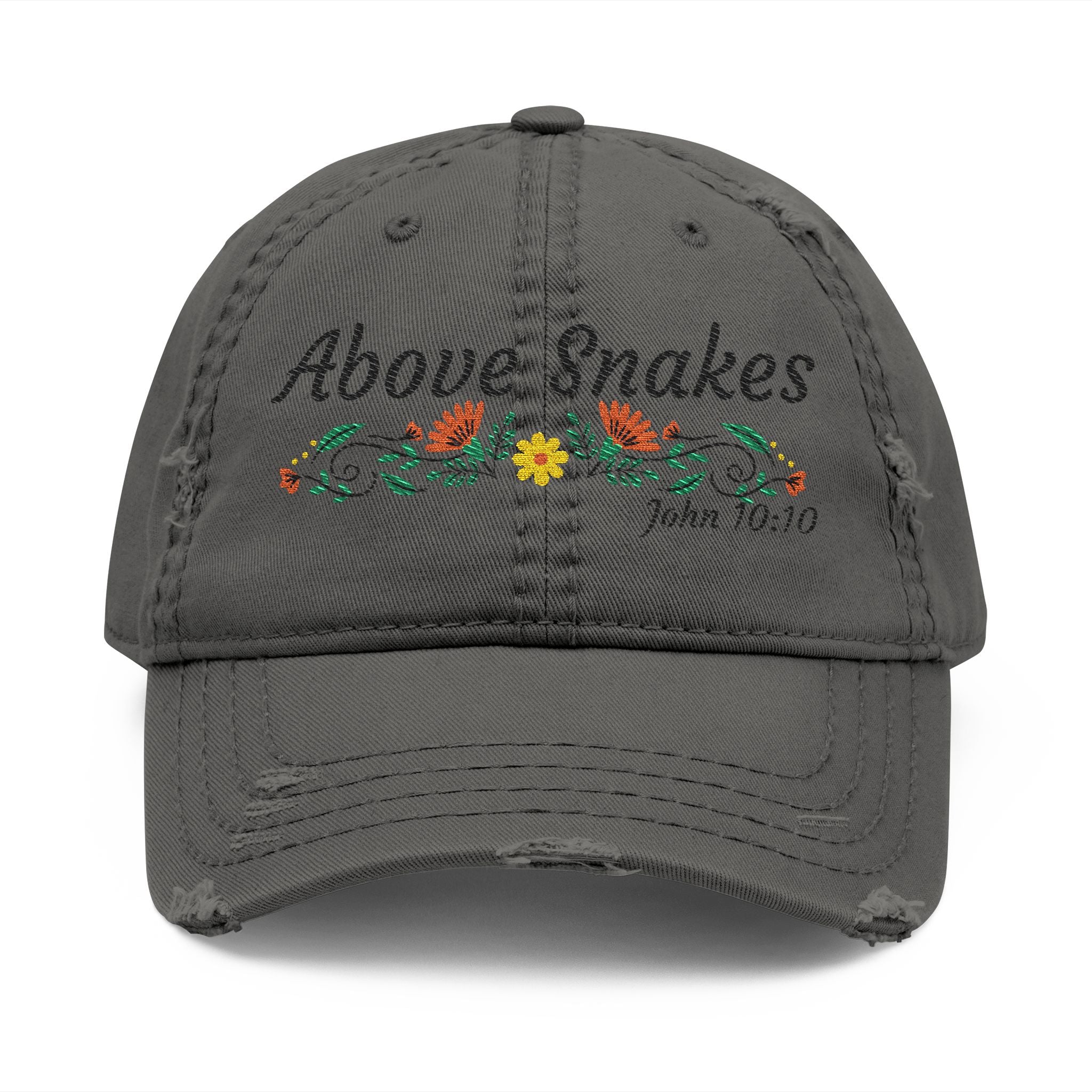 Above Snakes Embroidered Hat