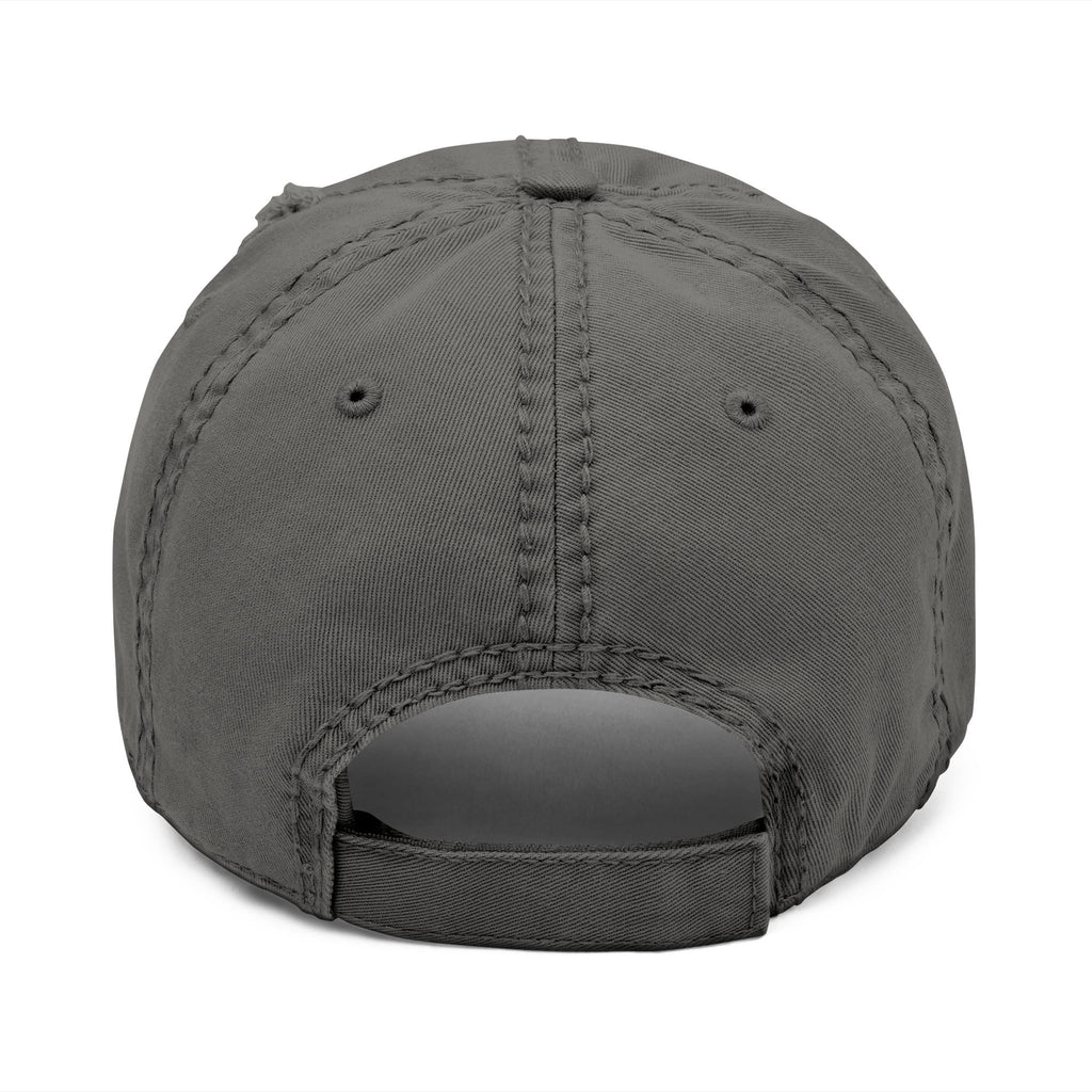 Above Snakes Embroidered Hat