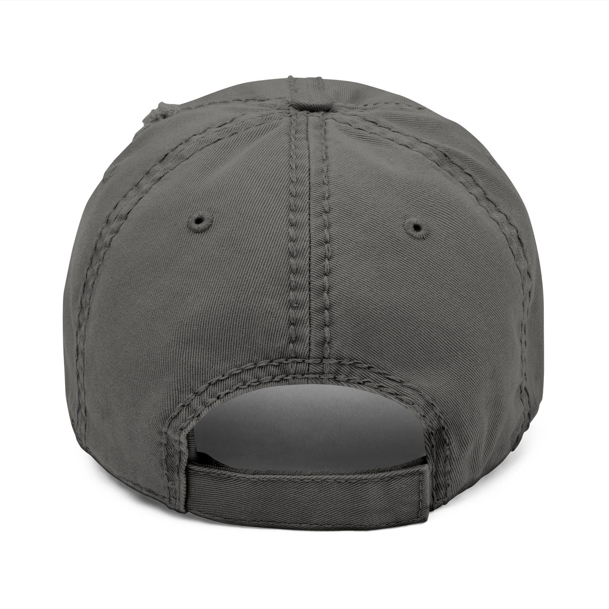 Above Snakes Embroidered Hat